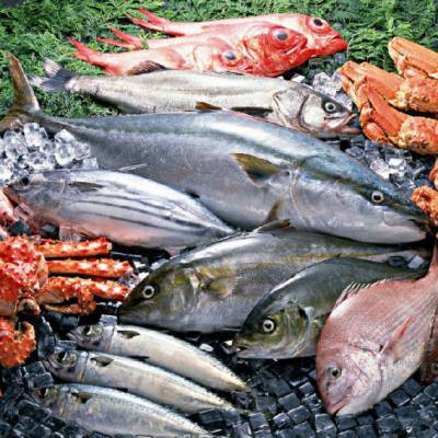 南非冷凍蝦仁進口報關指南 水產品進口流程解析