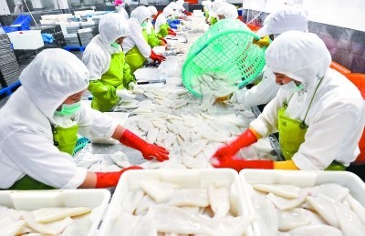 福建晉江水產(chǎn)加工出口快速增長，加工貿(mào)易成發(fā)展新引擎